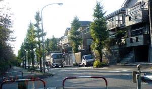DSC05518.JPG