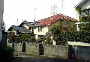 DSC05409.JPG