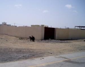 angie_masirah011.JPG