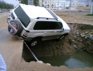 gonu05.jpg