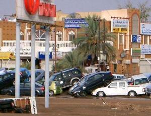 gonu08.jpg