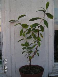 PICT04040.JPG