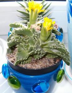 HPIM52130.JPG