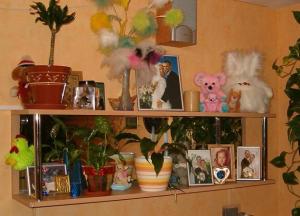 HPIM60520.JPG