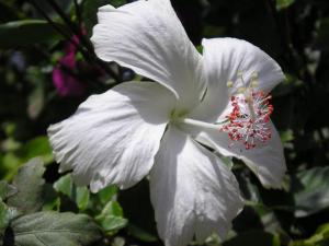 m_hb765_35_.JPG