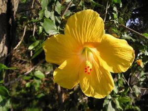 madam_hib020805_006_1.JPG