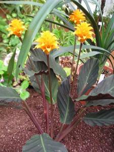 TA_1001_058.JPG