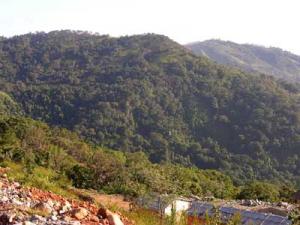 twdalat6.JPG