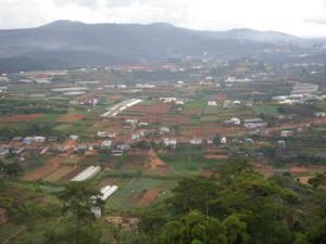 twdalat30.JPG
